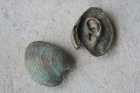 Shell Ear